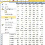 Excel_formatting_row_inserting